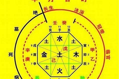 八字五行 查詢|生辰八字算命、五行喜用神查詢（免費測算）